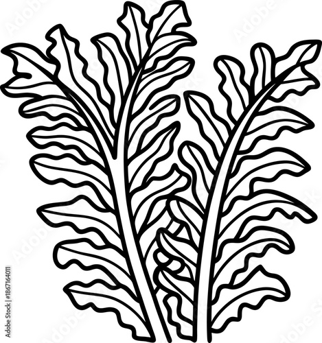 Outline of two large wavy tropical leaves with detailed veins and organic shapes