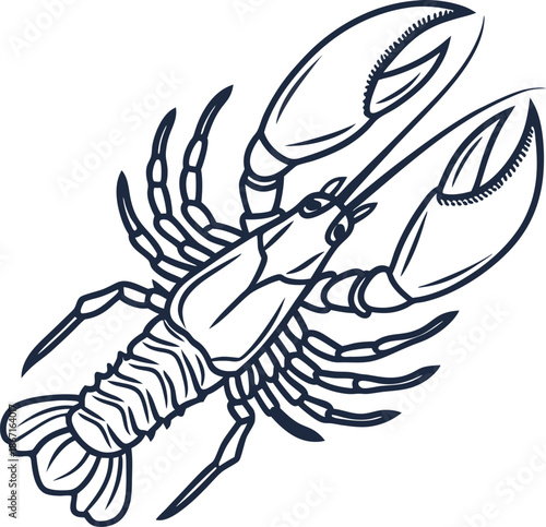 Lobster illustration with detailed claws and segmented body, sea creature marine life drawing