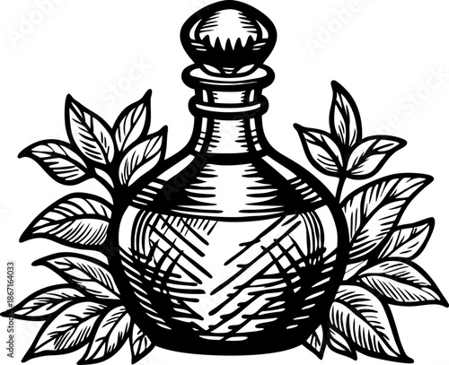 Vintage glass bottle with stopper surrounded by leaves botanical illustration