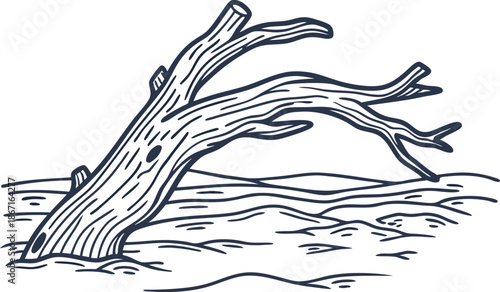 fallen tree trunk in shallow water with branches extending, natural wood illustration