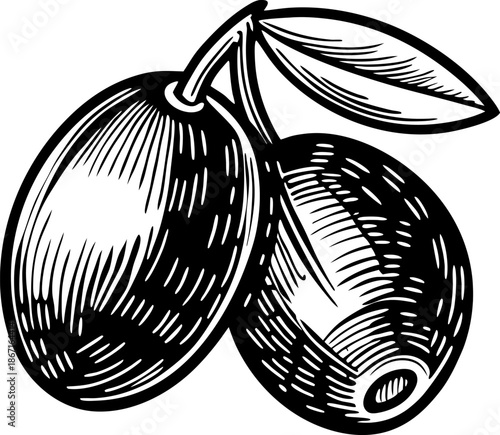 hand drawn black and white illustration of two olives with a leaf
