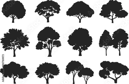 Set of twelve black tree silhouettes with varied shapes and foliage, ideal for landscape, design, and educational use.