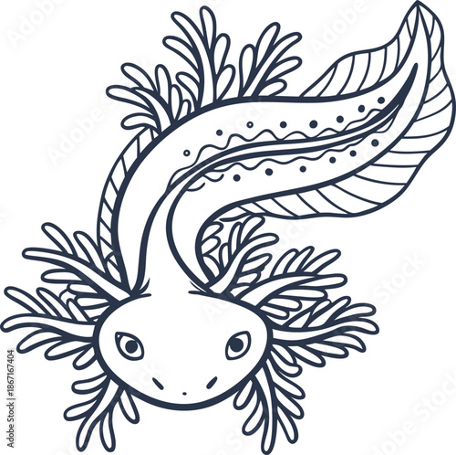 Axolotl illustration with detailed gills and tail, aquatic salamander drawing in black and white line art