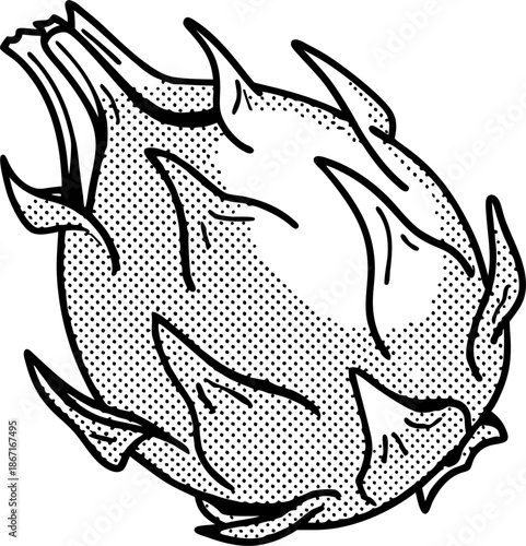 Dragon fruit illustration exotic tropical fruit with spiky leaves and textured skin