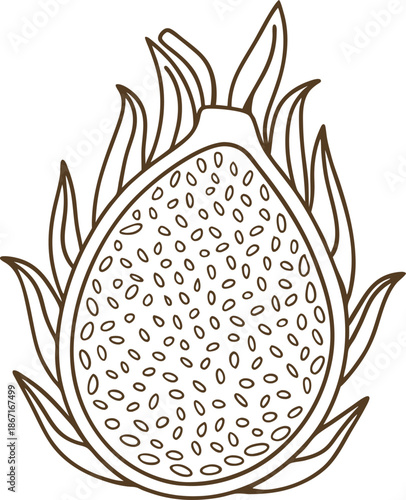 Outline of half dragon fruit with seeds and flame like leaves, exotic tropical fruit illustration