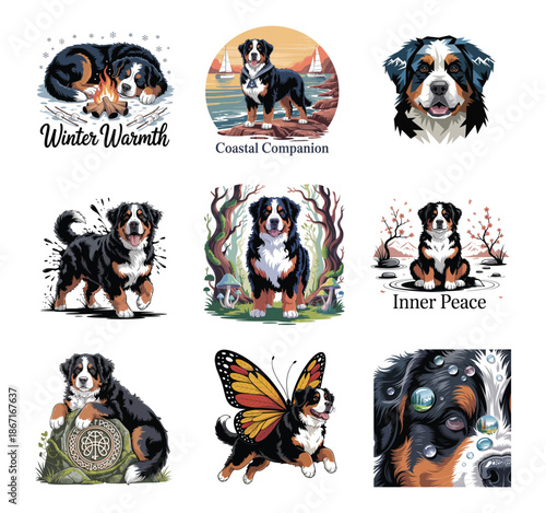 Bernese Mountain Dog in winter, coastal, and natural settings puppy animal