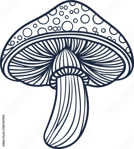 Mushroom drawing with detailed gills and textured cap in black and white line art