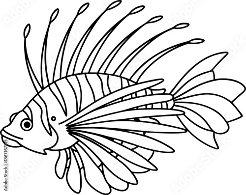 Lionfish illustration with long delicate fins and striped body in black and white line art