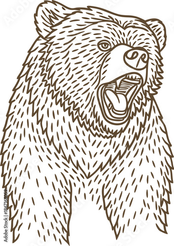 Roaring bear illustration with open mouth and detailed fur lines in a bold
