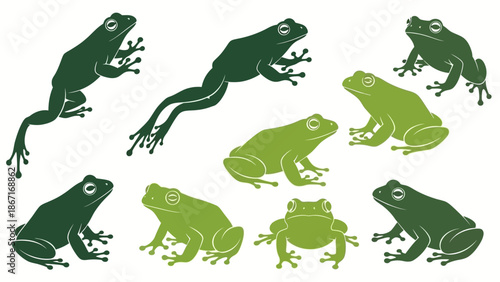 A collection of stylized green frog illustrations in various poses, showcasing their anatomy and agility.
