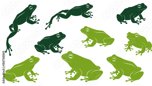 A collection of stylized green frog illustrations in various poses, showcasing their unique anatomy and agility.