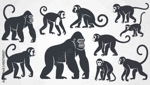 A collection of stylized silhouettes of various primates, including gorillas and monkeys, depicted in different poses against a light background.