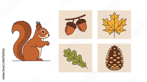 A cute cartoon squirrel is depicted alongside autumn-themed illustrations of acorns, a maple leaf, an oak leaf, and a pine cone.
