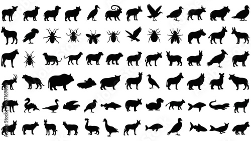 A comprehensive collection of diverse animal silhouettes, showcasing a wide variety of species from mammals to insects and birds.