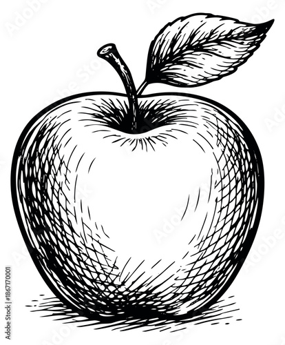 Hand drawn illustration of an apple depicting a whole fresh fruit for food concepts