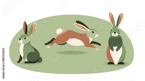 Three stylized rabbits in different poses on a green oval background, one sitting, one running, and one standing.
