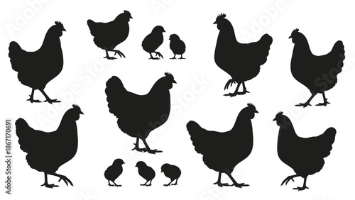 A collection of black silhouettes of chickens and chicks in various poses, showcasing different breeds and life stages.