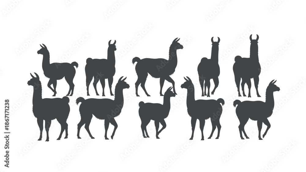 Fototapeta premium A collection of black llama silhouettes in various poses against a white background.
