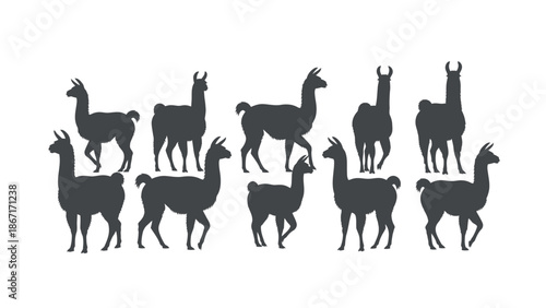 A collection of black llama silhouettes in various poses against a white background.