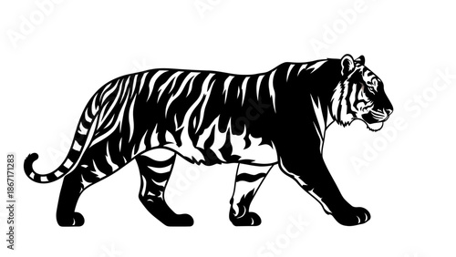 A striking black and white illustration of a tiger walking with its distinctive stripes clearly visible.