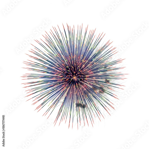Colorful Fireworks Exploding in the Night Sky Isolated on White Background
