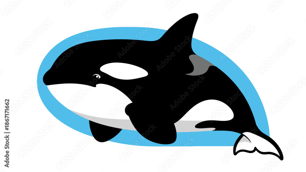 Obraz premium A cute cartoon illustration of a black and white orca whale swimming in blue water.