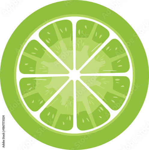 Fresh green lime slice vector illustration, citrus fruit cross section icon, minimal flat design, healthy food concept isolated on white background for branding packaging