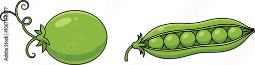 Green pea vegetable illustration, fresh organic peas pod, healthy food icon, farming agriculture concept, plant based nutrition, botanical vector art design