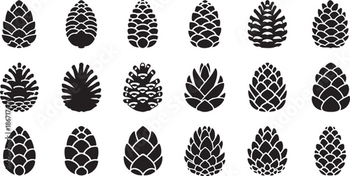 Pine cone icon. Set of black pine cone icon white background. Vector illustration eps