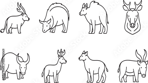 A collection of various wild animals in simple line drawings