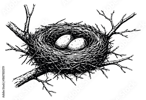 Hand drawn line art illustration of a bird's nest depicting two eggs for nature designs