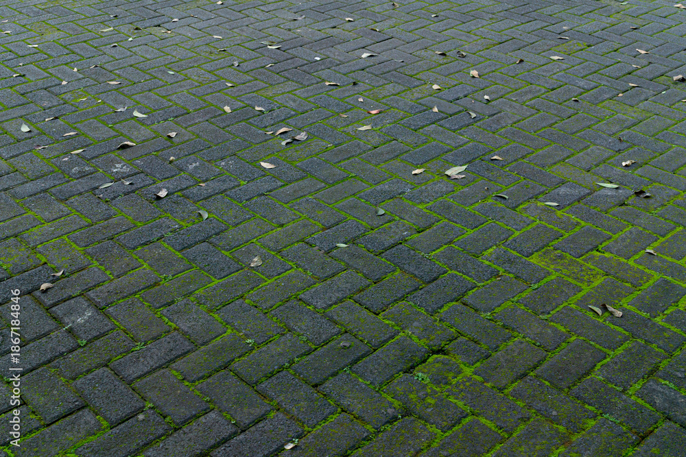 Fotografie Mossy Geometric Paving Blocks - Environment Background Concept.