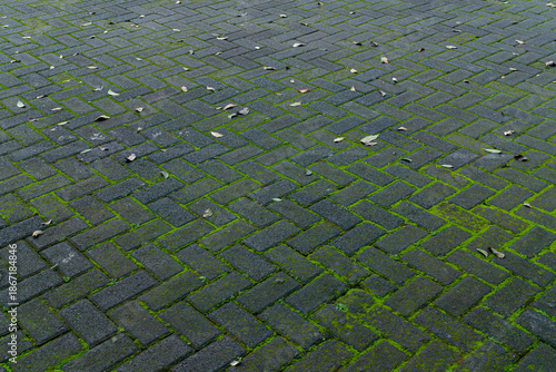 Tableau sur toile Mossy Geometric Paving Blocks - Environment Background Concept.