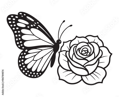 Outline drawing of monarch butterfly resting near beautiful blooming rose flower in simple graphic style