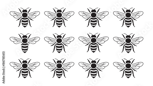Repeating honey bee pattern collection with detailed line art wings for organic honey label and nature illustrations