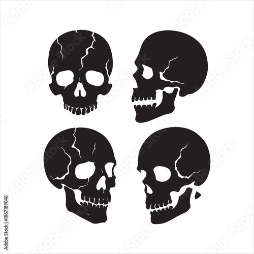 Skull vector silhouette clip art logo design icon collections