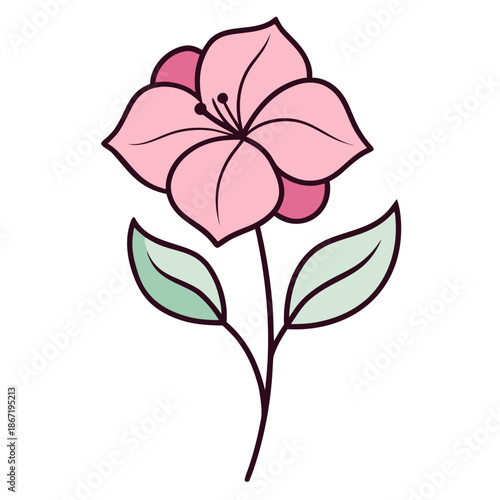 helleborus pink fizz with leaves 