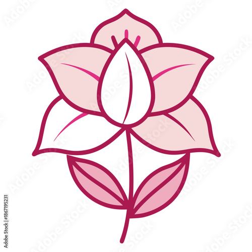 helleborus pink fizz vector