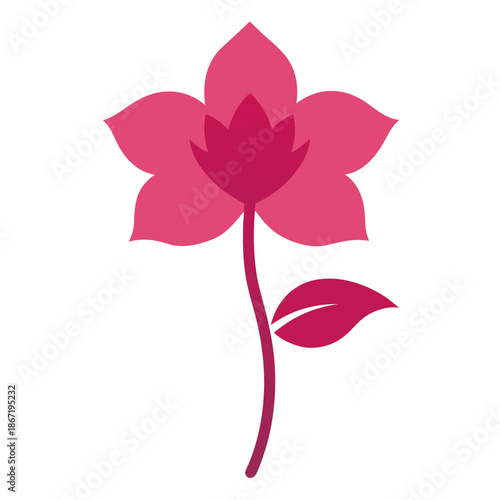 helleborus pink fizz vector