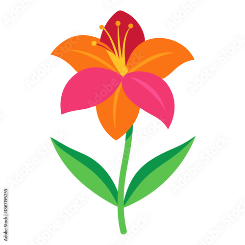 Photos hemerocallis happy returns on white background