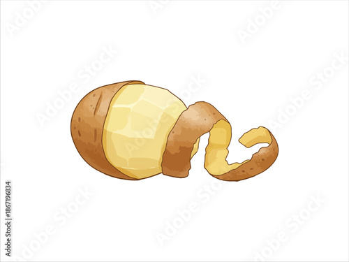 Illustrated potato peeling process with skin and flesh