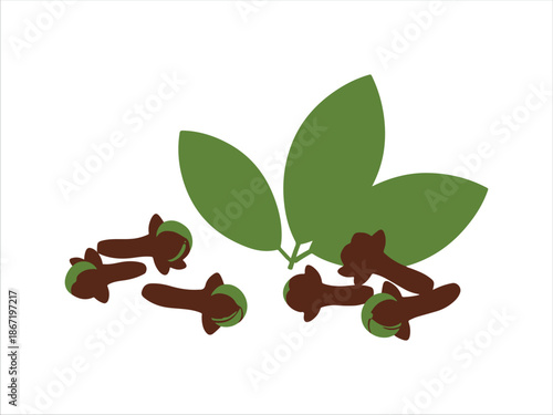 Illustration of cloves and green leaves on a white background