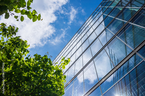 Modern glass office building reflecting blue sky and clouds, framed by green leaves