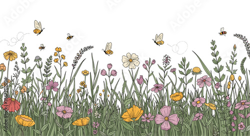 Beautiful wildflower meadow illustration with butterflies and bees in a vintage hand drawn style for nature themes and backgrounds.