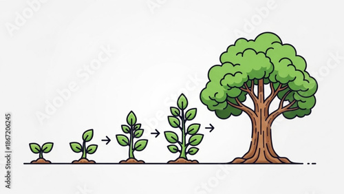 A vector graphic illustration of a tree growth stages from seedling to maturity