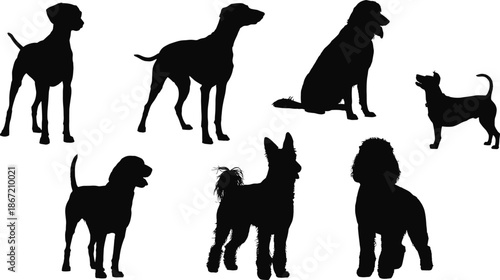 Dog silhouette set, various breeds standing sitting poses, pet animal collection, black shapes isolated on white background illustration