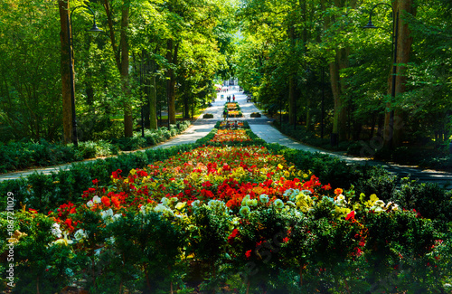 Quadro su tela Park in resort town Polanica Zdroj, Poland