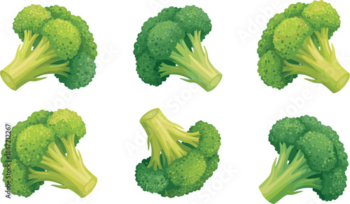 Fresh green broccoli florets set, healthy raw vegetable pieces for cooking, organic food icons, garden cabbage vector illustration isolated on white background