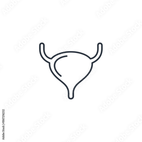 Minimalist Line Drawing of Human Bladder Illustration for Medical Use