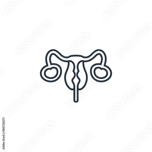 Minimalist line art illustration of female reproductive system emphasizing